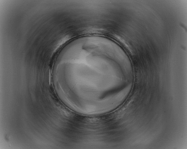 X0000091501219200709131844