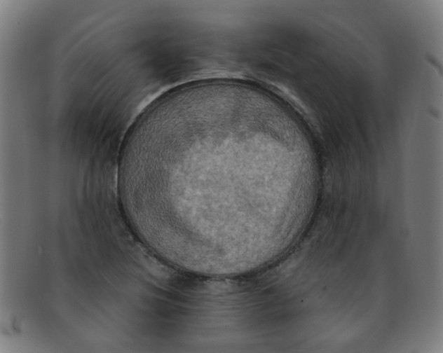 X0000091501220200709131844