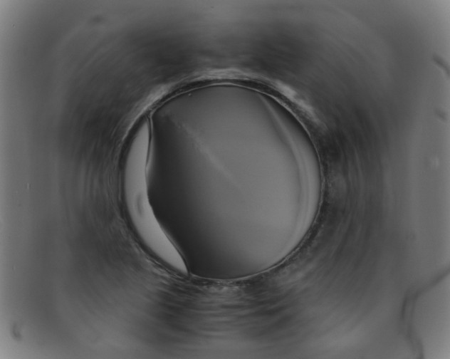 X0000091501221200709131844