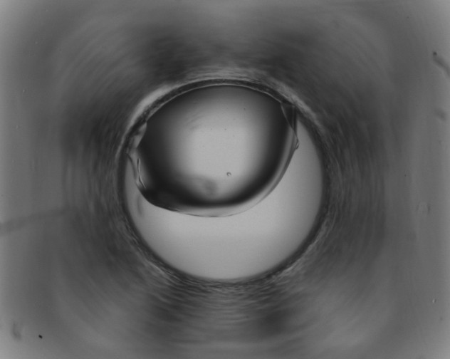 X0000091501222200709131844