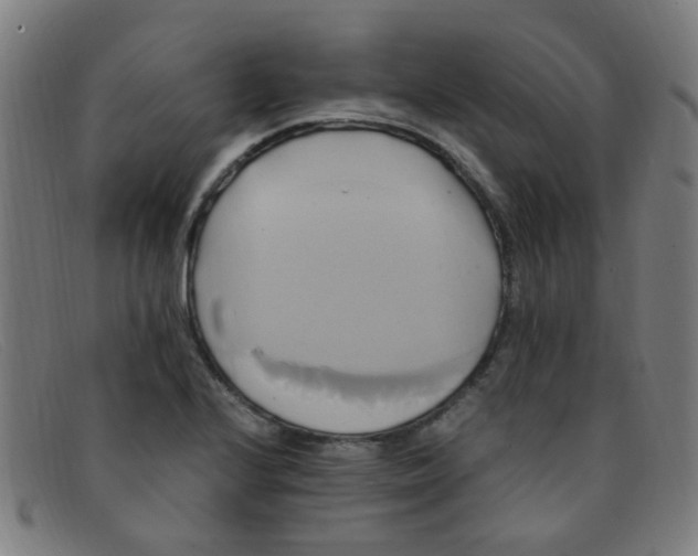 X0000091501224200709131844