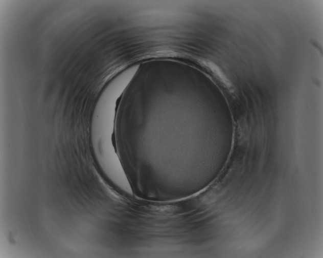 X0000091501225200709131844