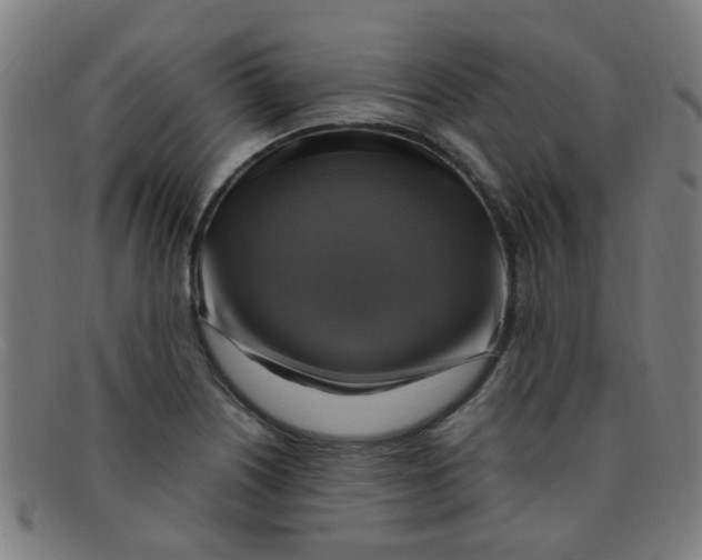 X0000091501226200709131844