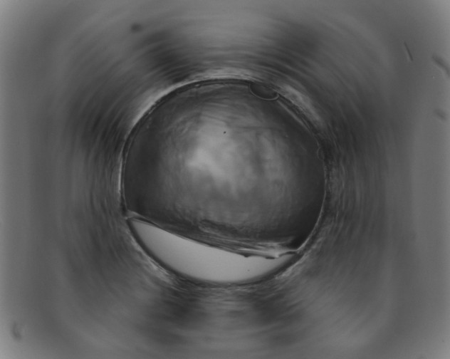 X0000091501228200709131844