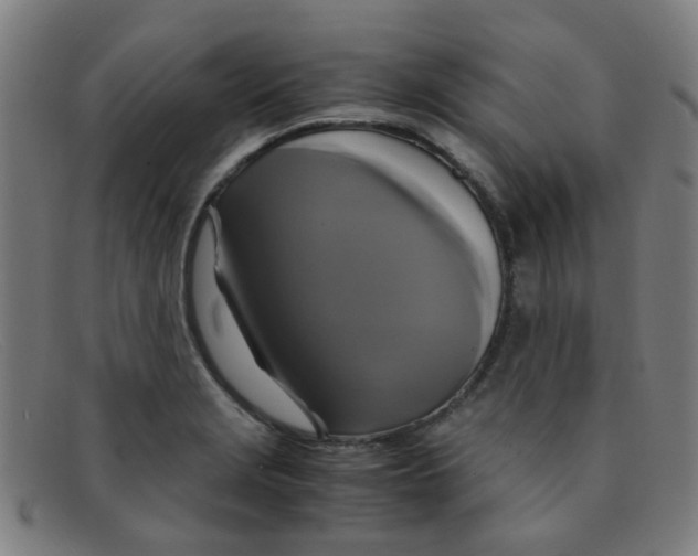 X0000091501229200709131844