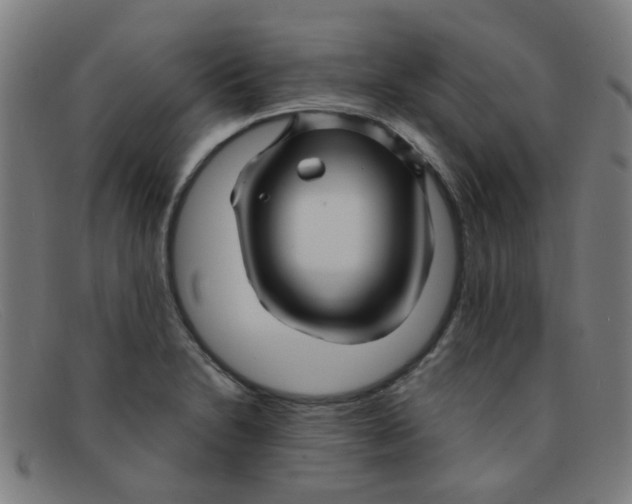 X0000091501230200709131844