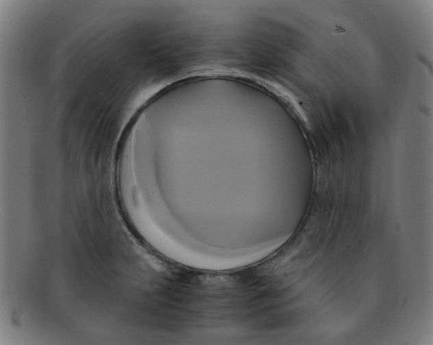 X0000091501231200709131844