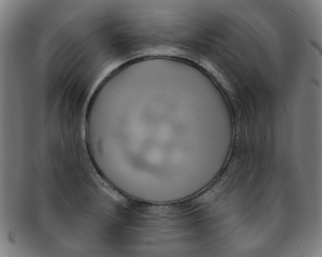 X0000091501232200709131844