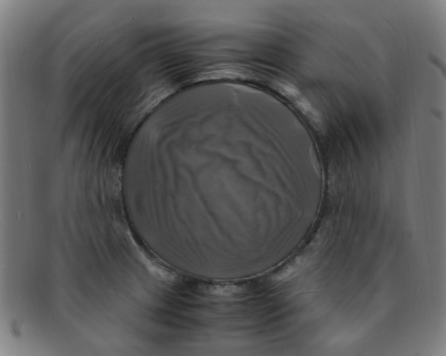 X0000091501233200709131844