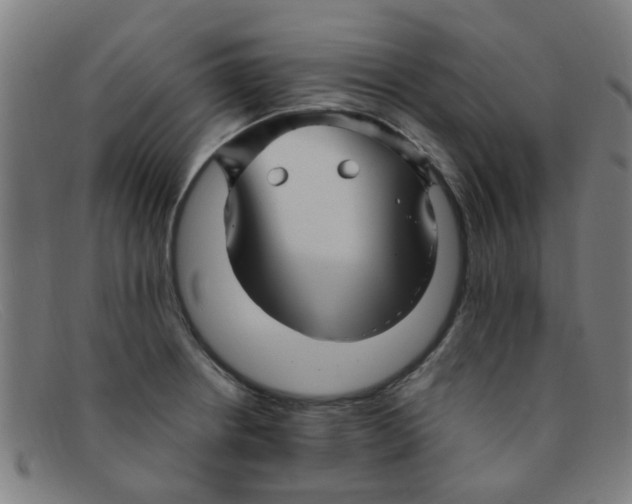 X0000091501234200709131844