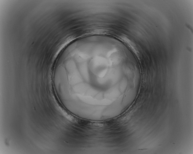 X0000091501235200709131844