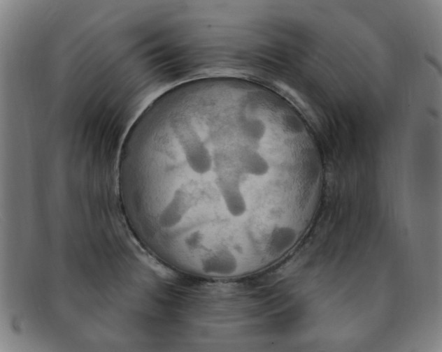 X0000091501236200709131844