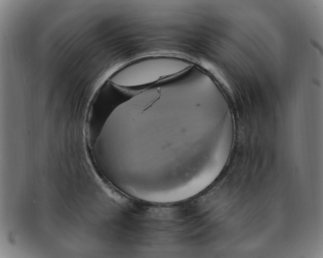 X0000091501237200709131844