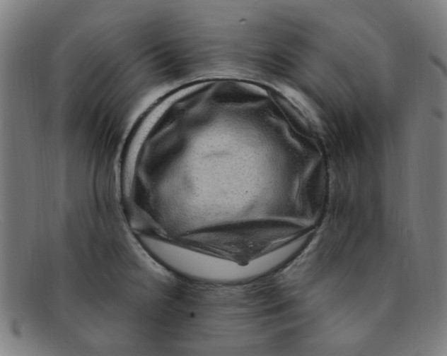 X0000091501238200709131844