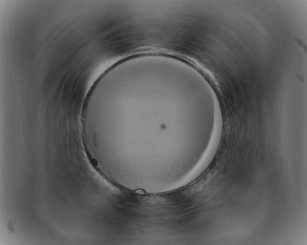 X0000091501239200709131844