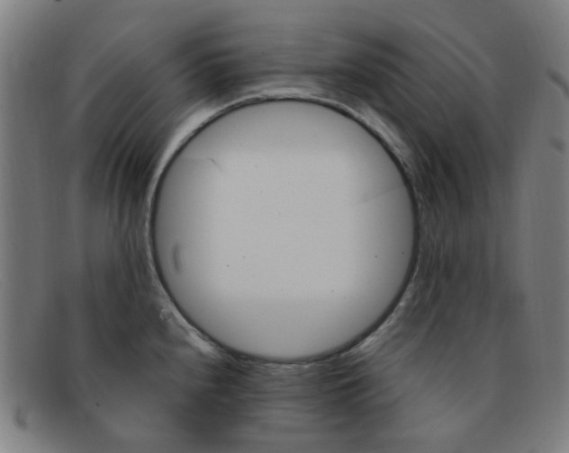 X0000091501240200709131844