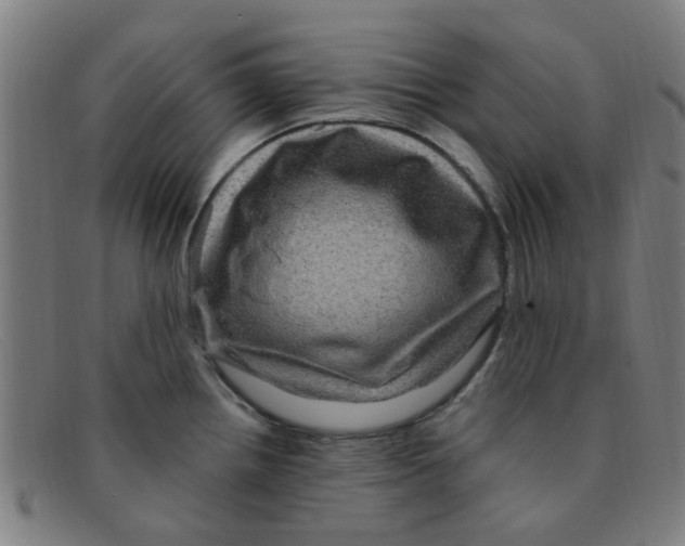 X0000091501242200709131844