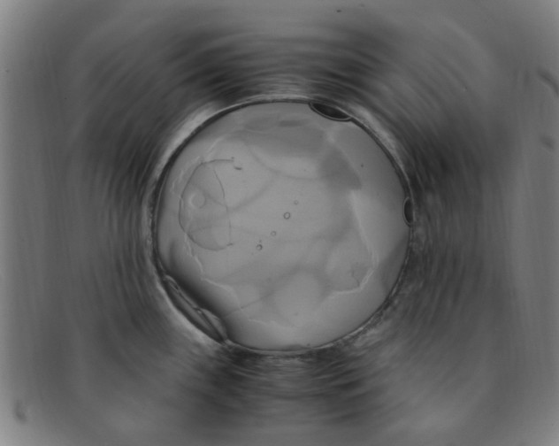 X0000091501243200709131844