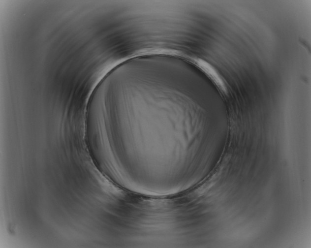 X0000091501244200709131844