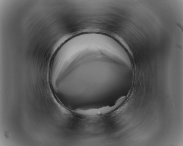 X0000091501245200709131844