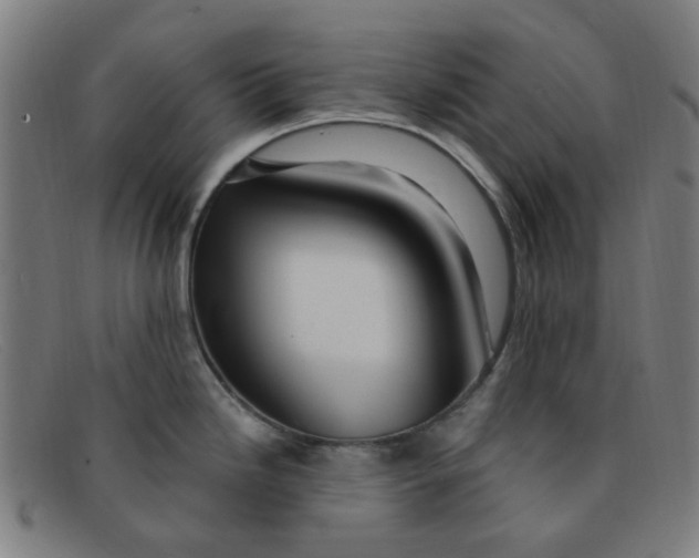 X0000091501246200709131844