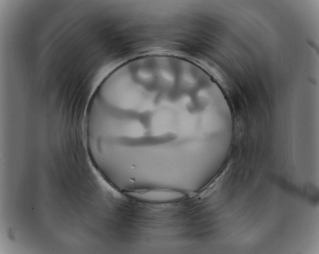 X0000091501247200709131844