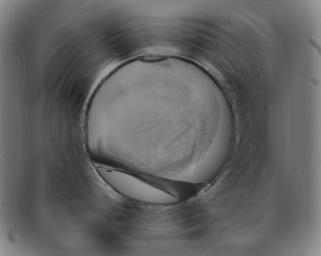 X0000091501248200709131844