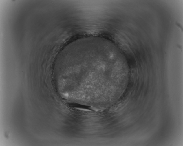 X0000091501249200709131843