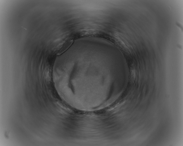 X0000091501250200709131843