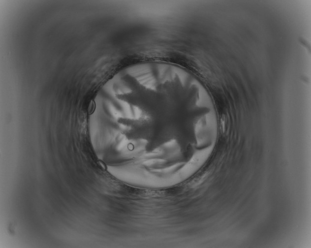 X0000091501251200709131843