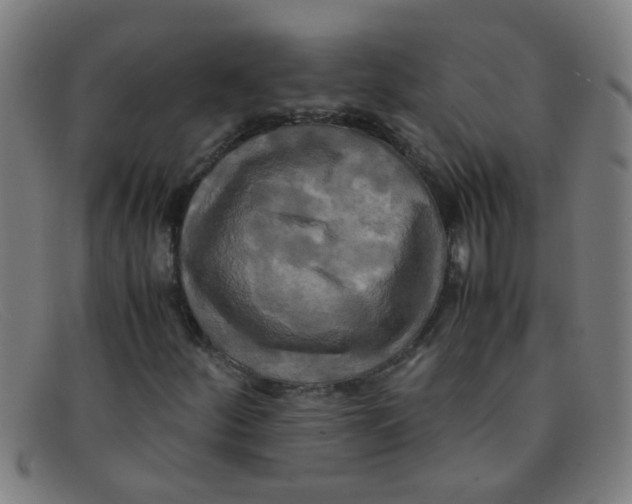 X0000091501252200709131843