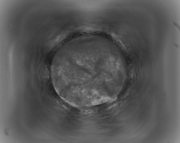 X0000091501253200709131843