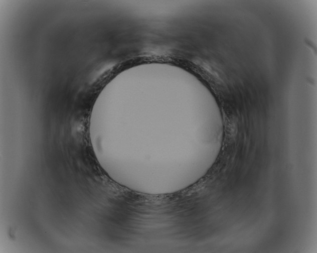 X0000091501254200709131843