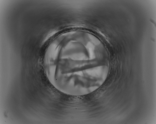 X0000091501255200709131843