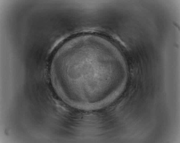 X0000091501256200709131843