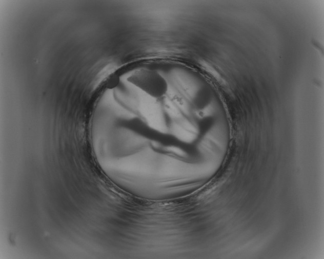 X0000091501259200709131843