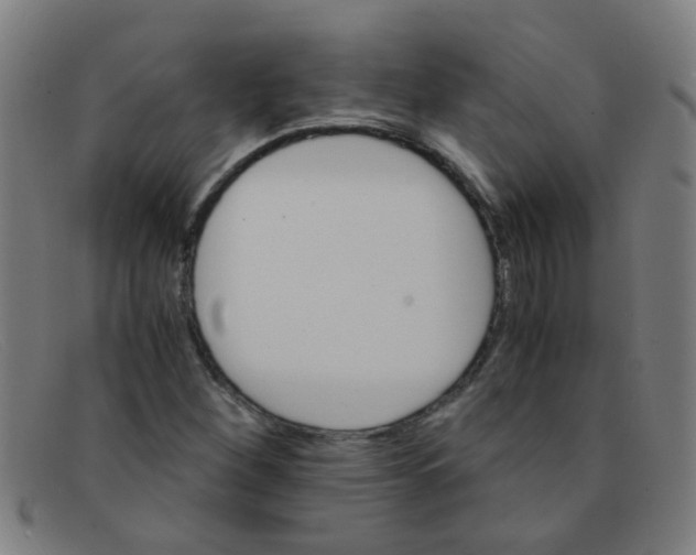 X0000091501260200709131843