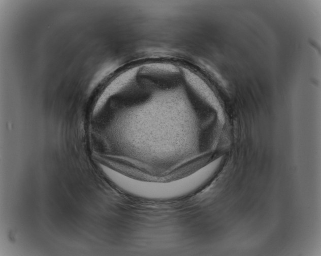X0000091501261200709131843