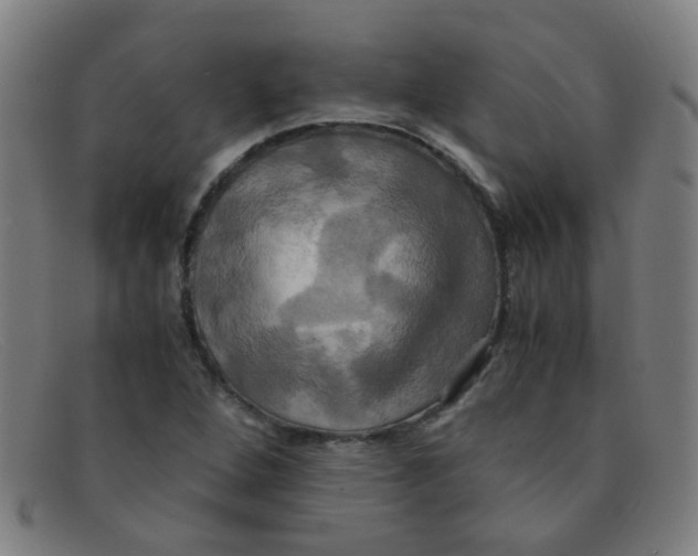 X0000091501264200709131843