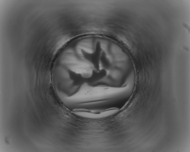 X0000091501267200709131843