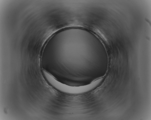 X0000091501268200709131843