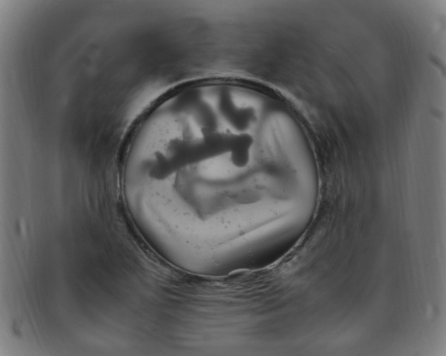 X0000091501271200709131843