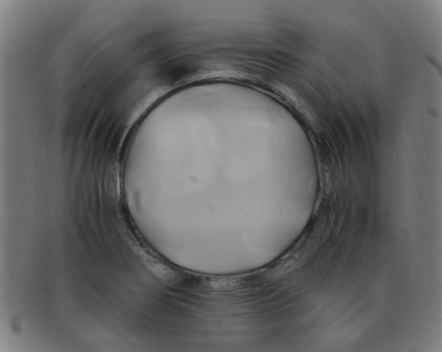 X0000091501274200709131843