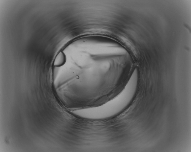 X0000091501275200709131843