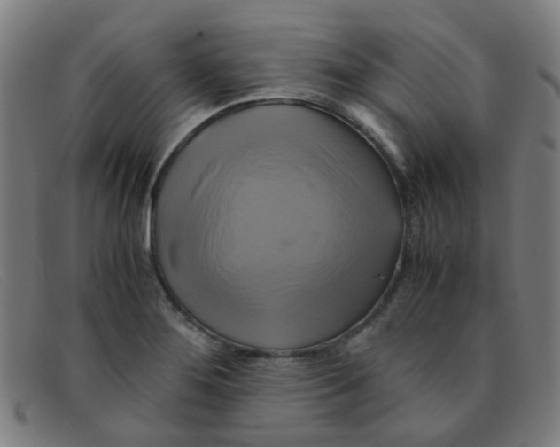 X0000091501276200709131843