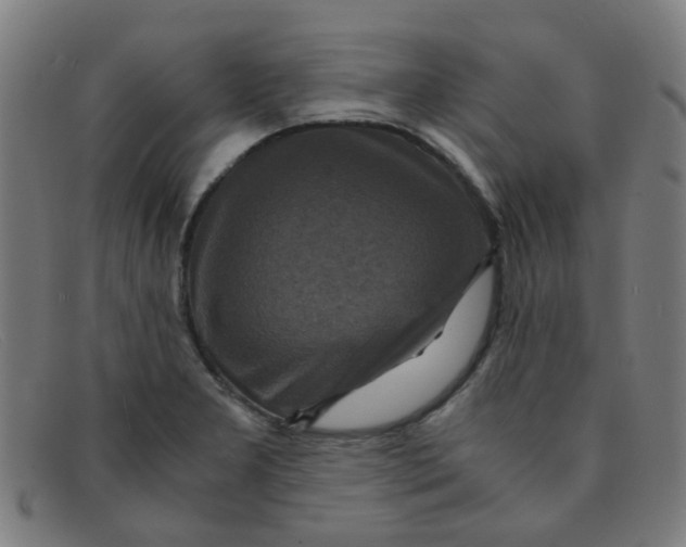 X0000091501277200709131843