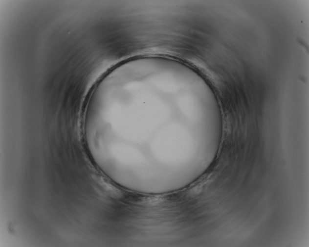 X0000091501278200709131843