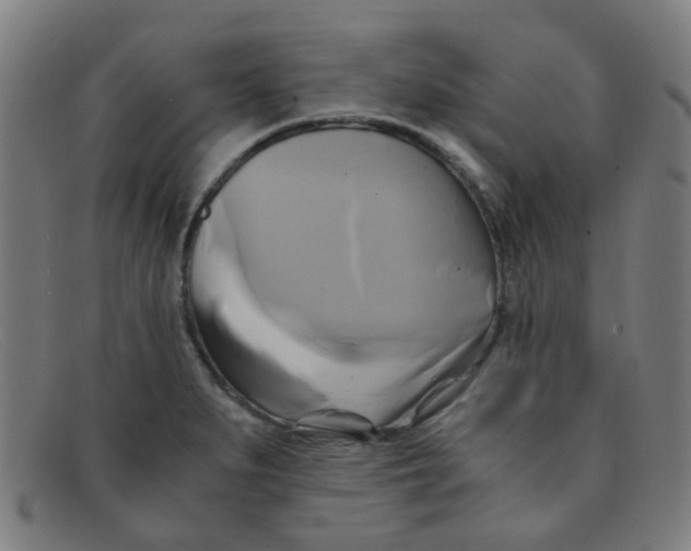 X0000091501279200709131843