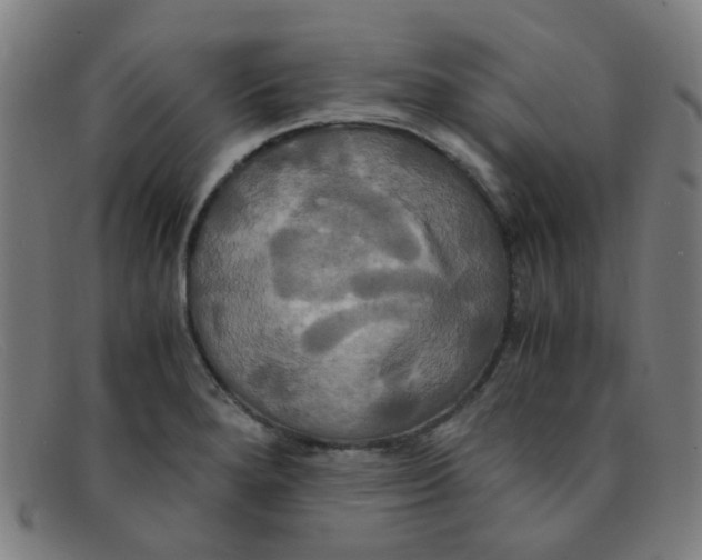 X0000091501280200709131843