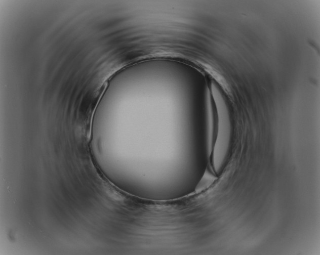 X0000091501281200709131843